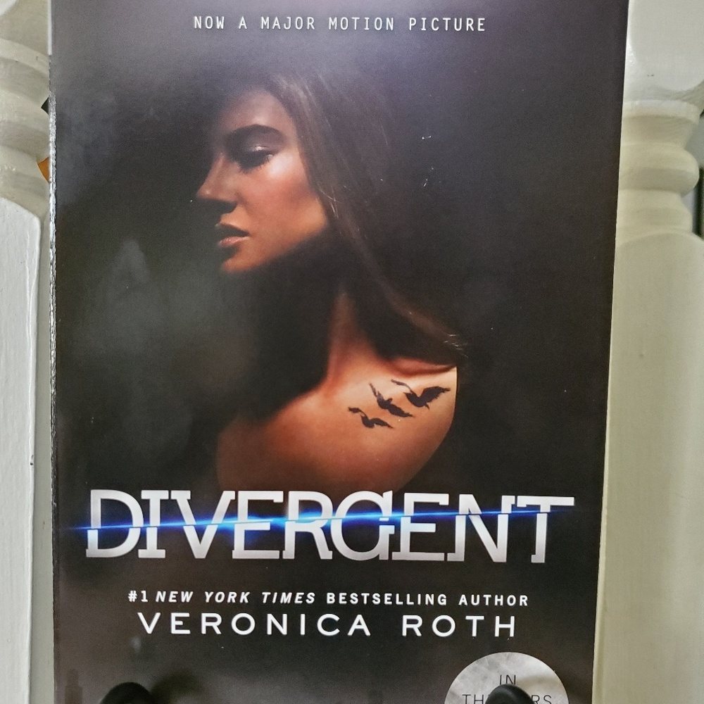 2 for $20 New Divergent Book